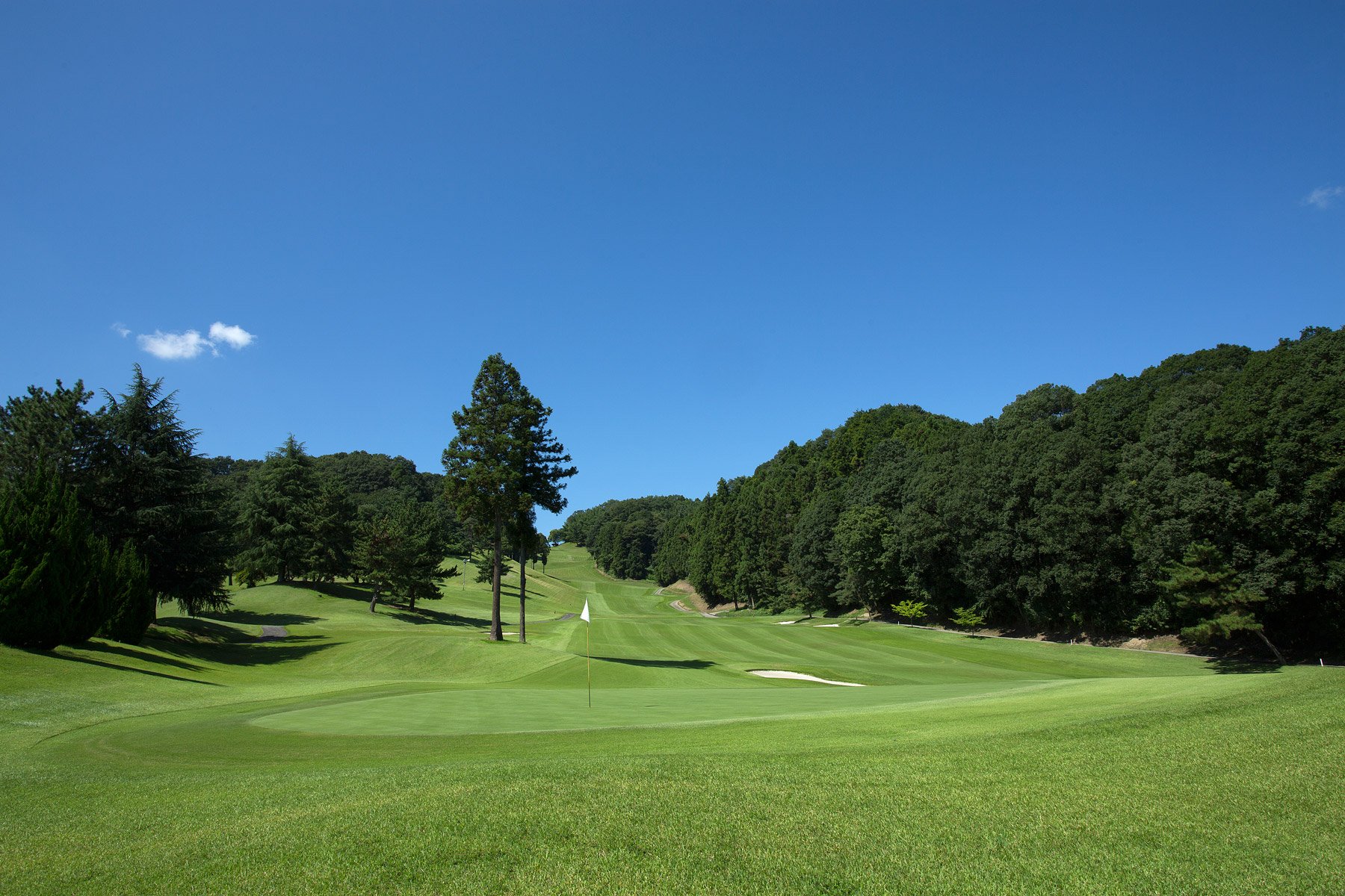 🌳 타카사키 종합 공원 (타카사키 소고 코엔) 이미지 2